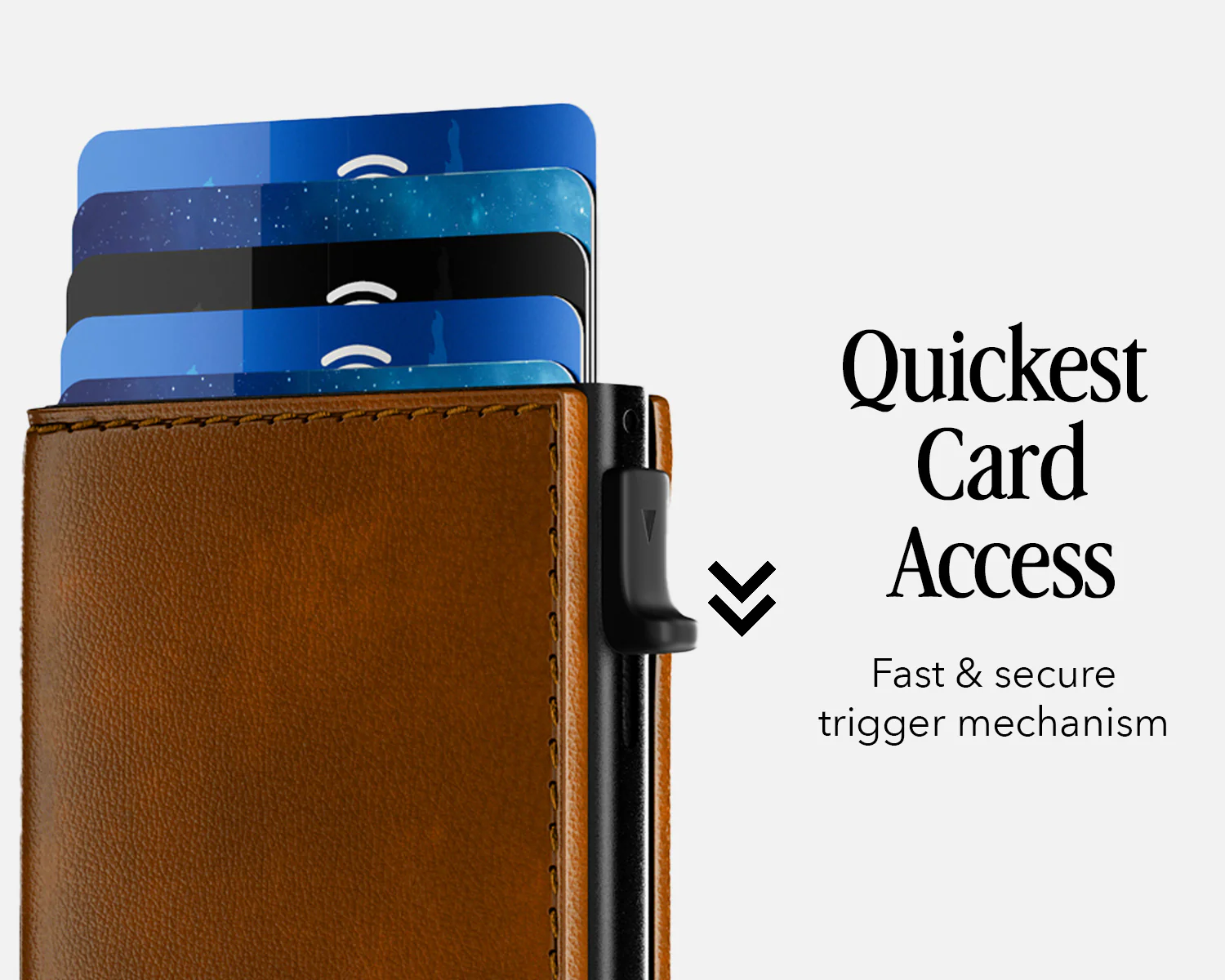 Bifold Edition - Image 44